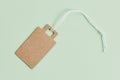 Blank brown cardboard price tag, sale tag, gift tag, address label on pastel green background