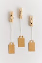 Blank brown cardboard price tags, sale tag, gift tag, address label hanging on clothes wooden clips on white background Royalty Free Stock Photo