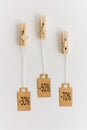 Blank brown cardboard price tags, sale tag, gift tag, address label hanging on clothes wooden clips on white background Royalty Free Stock Photo