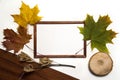 Blank brown frame, maple leaves and wood on white and brown background.