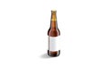 Blank brown glass beer bottle with white label mockup, isolated