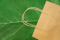 Blank brown paper shopping bag on big green leaf background. Spring Easter sale eco friendly shopping Royalty Free Stock Photo