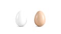 Blank brown and white easter egg mock up set, 3d rendering. Empty fresh product mockup, front view. Clear holy eggshell Royalty Free Stock Photo