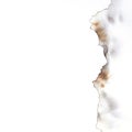 Blank burnt paper edge close-up on white background woith copy space Royalty Free Stock Photo