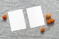 Blank business cards and dry physalis on gray linen fabric. Stylish minimalistic mockup scene. Modern autumn stationery still life