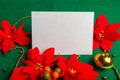 Blank card with Christmas decorations and poinsettia Royalty Free Stock Photo