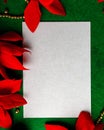 Blank card with Christmas decorations and poinsettia Royalty Free Stock Photo