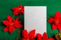 Blank card with Christmas decorations and poinsettia Royalty Free Stock Photo