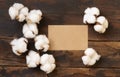 Blank card with cotton flowers top view on dark brown wood, wedding mockup