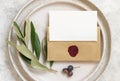 Blank card and envelope on plate with olive tree branches Royalty Free Stock Photo