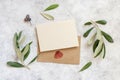 Blank card and envelope on table with olive tree branches Royalty Free Stock Photo