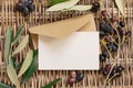 Blank card and envelope on wood with olive tree branches Royalty Free Stock Photo