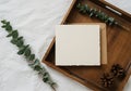 Blank card and envelope on wooden tray with eucalyptus and pine cones Royalty Free Stock Photo
