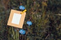 Blank card hanging on the flower chicory