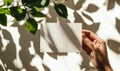 Blank card held by hand with green leaves casting shadows on light background Royalty Free Stock Photo