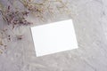 Blank card and kermek flowers on grey concrete background. Top view, flat lay, mockup