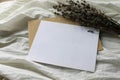 Blank Card Mockup with Dried Lavender Royalty Free Stock Photo