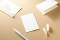 Blank Cards and Envelopes Arranged on a Light Beige Surface With a Decorative Plant Element Royalty Free Stock Photo