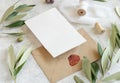 Blank cards and envelopes on table with olive tree branches Royalty Free Stock Photo