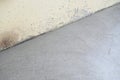 blank cement floor textured background, construction industry