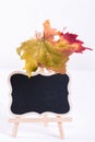 Blank chalk board stand mockup with colorful autumn leaf on white brick wall background Royalty Free Stock Photo