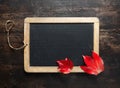 Blank chalkboard and autumn leaves Royalty Free Stock Photo