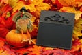 Blank chalkboard sign with a turkey on a pumpkin and fall leaves Royalty Free Stock Photo