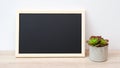 Blank chalkboard and succulant plant standing on wood table isolated on white background, banner, space for text, mock Royalty Free Stock Photo