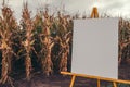 Blank chart noticeboard in cornfield