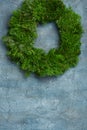 Blank Christmas wreath fir branches circle
