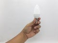 Blank Clean Oval Shaped Electric Light Bulb for Home Interiors Lighting Accessories in White background