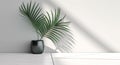 Blank clean polished gray wall and floor, green palm tree in black pot in dappled sunlight, shadow for luxury interior design