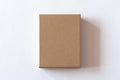 Blank closed carton box packaging Royalty Free Stock Photo