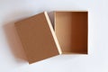 Blank closed carton box packaging Royalty Free Stock Photo