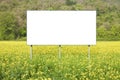 Blank commercial advertising billboard immersed in a rural scene against a yellow flowery field - image with copy space