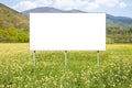 Blank commercial advertising billboard immersed in a rural scene against a yellow flowery field - image with copy space Royalty Free Stock Photo