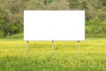 Blank commercial advertising billboard immersed in a rural scene against a yellow flowery field - image with copy space Royalty Free Stock Photo