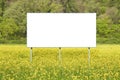 Blank commercial advertising billboard immersed in a rural scene against a yellow flowery field - image with copy space Royalty Free Stock Photo