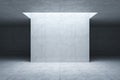 Blank concrete space interior, 3d rendering Royalty Free Stock Photo