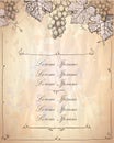 Blank with copy space for text and grape graphic frame, wine list menu card design mockup Royalty Free Stock Photo