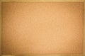 Blank cork board background Royalty Free Stock Photo