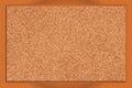 Blank corkboard Royalty Free Stock Photo