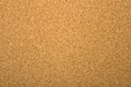 Blank Corkboard