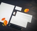 Blank corporate stationery Royalty Free Stock Photo