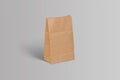 Blank craft paper bag for taking away food mock up isolated