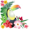 Toucan Tropical Decorative Ornament Vector Illustration