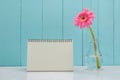 Blank desk calender with pink Gerbera daisy flower Royalty Free Stock Photo
