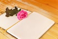 Blank diary note with pink rose in dreamy soft mood colour