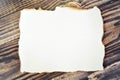 Blank edged burned paper Royalty Free Stock Photo