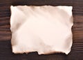 Blank edged burned paper Royalty Free Stock Photo